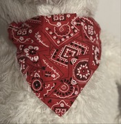 Czerwona bandamka dla psa z regulowanym zapięciem