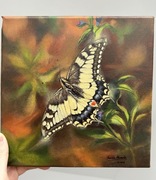 Paź królowej oryginalny obraz, akryl na płótnie, realistyczny motyl