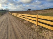 DESKI na ogrodzenia RANCZO MODRZEW, DAGLEZJA