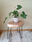 Stolik kawowy z plastra dębu, woskowany i polerowany