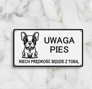 Wyjątkowe tabliczki uwaga zły pies duży wybór doberman, amstaff owczarek
