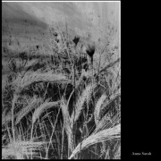 Wydruk artystyczny format A4