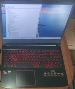 Acer Nitro 5 Ryzen 4600H (6/12) GTX 1650 (4GB) Sprawny 
