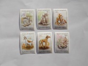 Rumunia 5055-60  Małe zwierzęta domowe **