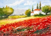 Pole maków na farmie w Prowansji originalna akwareli A4