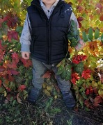 Kamizelka bezrękawnik 2 lata