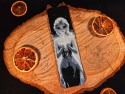 Zakładka do książki 3D Frozen / Kraina Lodu Elsa