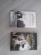 Carlos Ruiz Zafon, MIasto z mgłi i Marina