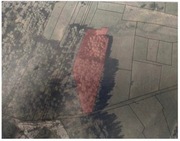 LAS z działką - HUTA RÓŻANIECKA- Roztocze