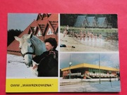 RZĄSAWA  -  OWW  "  WAWRZKOWIZNA  "    -  Pocztówka 