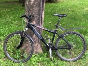 Rower MTB Buddy Wheeler 17'