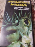 Kaseta VHS Australijscy mordercy