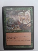 Sacred Prey (Mercadian Masques, 268/350)