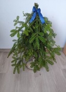 Choinka Ręcznie robiona choinka z prawdziwej jodły 60 cm na drewnianym plas
