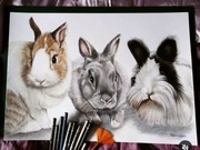 Portret KOTA PSA  KRÓLIKA  KILKU zwierzaków  ze zdjęcia   A3  na prezent