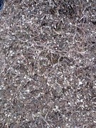 Zrębki drzewne z Tui (3 M3)