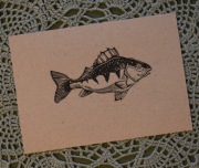 odbitka linorytu ,,Okoń''