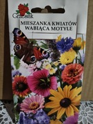 Mieszanka kwiatów Wabiąca motyle
