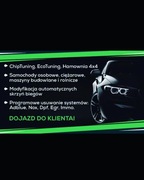 Chiptuning EcoTuning Dpf Fap Egr AdBlue Off