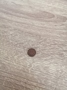 1 grosz z 1931 destrukt tla