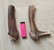 Poroże naturalny Gryzak  dla psa 2 szt.18 cm 