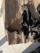 Ford Transit Courier 2019 mocowanie drzwi przesuwnych tylne prawe