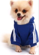 Bluza QiCheng&LYS odcienie niebieskiego 2XL/3XL