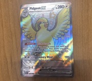 Karta pokemon Pidgeot EX 221/091