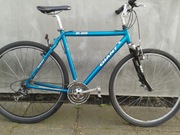 GIANT manufacturing company X2000