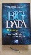 Big Data – Mayer-Schönberger, Cukier | twarda okładka | idealny stan