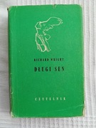 Długi sen - Richard Wright