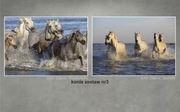 Plakaty-obrazy-zdjęcia *KONIE* zestaw 2szt. A3, różne wzory !