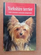 YORKSHIRE TERRIER - Karin Biała-Gauss