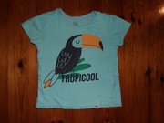 zielony T-shirt dziewczęcy 110 Cool Club Tukan