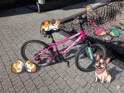 Rower Indiana Roxy Junior