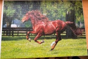 TREFL puzzle koń 1 000 elementów wymiar 70x50 bez pudełka