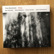 Theo Bleckmann Elegy CD