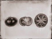 Ambrotypia - Hell's Kitchen 015