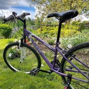 Rower górski Apollo Twilight 26"