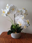 Storczyk sztuczny, kompozycja w donicy betonowej, wys. 50 cm, nowy