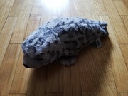 zabawka pluszak foka 