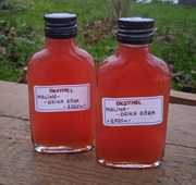 OKSYMEL MALINA - DZIKA RÓŻA (100 ml) - W NASZEJ SPIŻARNI
