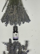 Susz lawendowy w woreczkach