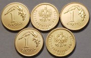 5 x 1 gr grosz 2024r. mennicze 