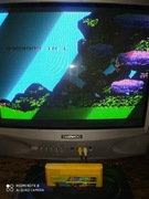 ORYGINALNY CARTRIDGE PEGAZUS 9999999 IN 1(ZES. 2)