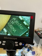 LM4562NA, 55MHz, 20V/us, THD+N - 0.00003, AUDIO