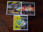 Vlepki Ruch Radzionków Unikatowe #3