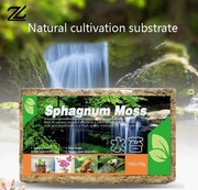 Mech Torfowiec Ukorzeniacz Sphagnum Moss 12L 150g