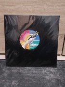 Pink Floyd wish you were here. Album LP 