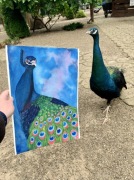 Barwny Paw – Ręcznie malowany obraz akwarelowy